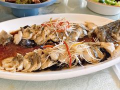 -博雅渔港·融合菜(维也纳国际大酒店)