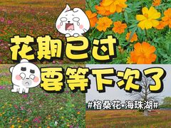 -海珠湖公园