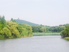 -上海市保健医疗中心