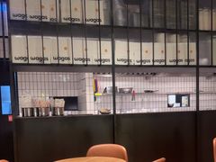 -Wagas沃歌斯(浦东机场店)