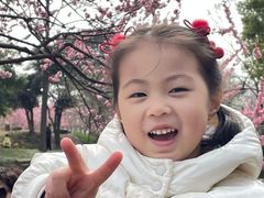 -无锡梅园公园
