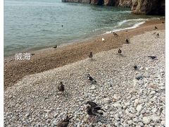 -海驴岛(荣成市)