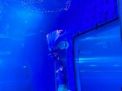 -太平洋海底世界