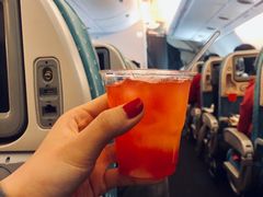 -新加坡航空公司(ION)