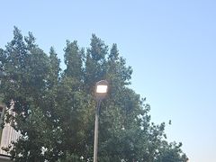 -No.DD戳子烧烤·江湖菜(北京总店)