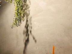 -青柠记忆泰式海鲜火锅(合生汇购物中心店)