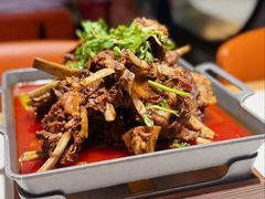 -杨氏青龙虾·羊蝎子(托乐嘉店)