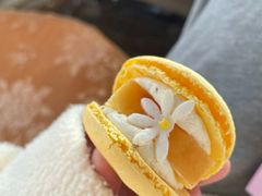 半熟花花马卡龙桂花半熟芝士味-好利来(五一广场店)