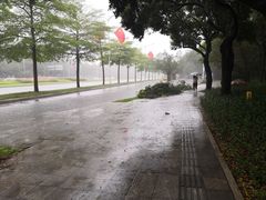 -深圳市人才园(深南大道店)