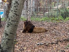 -哈尔滨北方森林动物园