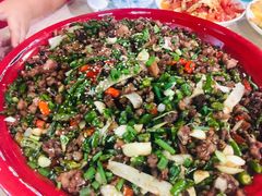 -东吴霸王兔(松青路店)