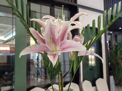 -南堂馆·新川菜(春熙路店)