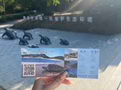 -广东惠东海龟国家级自然保护区