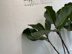-red donkey coffee