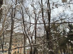 -黛秀湖公园