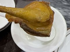 -鸽鸟轩(石岐店)