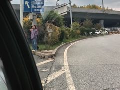 -青藏高原野生动物园