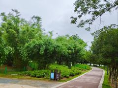 -金银湖国家城市湿地公园