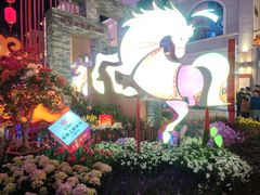 -越秀西湖花市(广州城市广场花卉店)