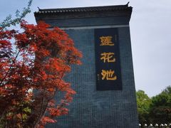 -莲花池公园