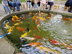 -成飞公园