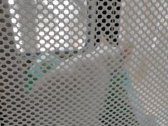 -瑞派天使宠物医院·神经外科·骨科·核磁(洛川中路店)
