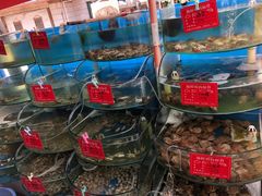 -晓伟海鲜家常菜