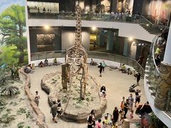 -辽宁古生物博物馆