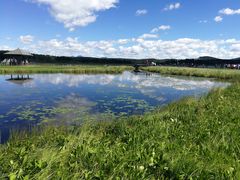 -塞罕坝国家级自然保护区