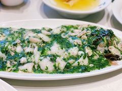 -蝶园·装修中(BFC外滩金融中心店)