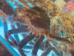 -海港酒家(上水新丰店)