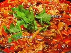 传统毛血旺-麻六记(新天地店)
