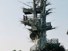 -芒洲湿地公园