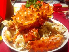 -席家花园(巨鹿花园店)