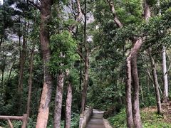 -雁荡山大龙湫景区