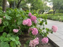 -静安雕塑公园