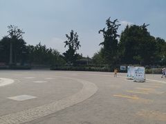 -大兴滨河森林公园