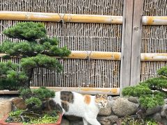 -龙华寺