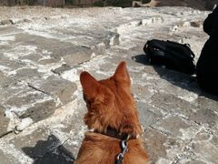 -蟠龙山长城景区