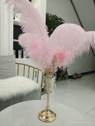 -缤卡妮肌肤管理中心