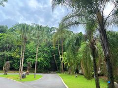 -中国科学院西双版纳热带植物园