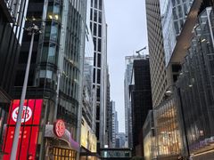 -Big Bus Tours 敞篷观光巴士