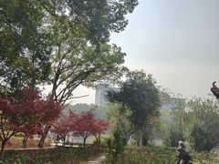 -江西财经大学(蛟桥园南校区)