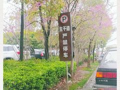 -上海市第一人民医院(松江南部)