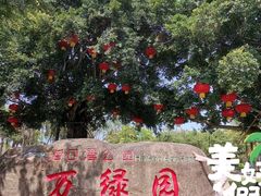 -万绿园