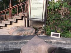 -金石唐风国际温泉会馆