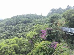 -仙岳公园