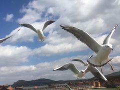 -呈贡滇池生态湿地公园