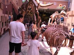 -陕西自然博物馆