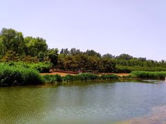 -大兴滨河森林公园